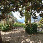 Casa Orrsa Casa Con Terrazzo Apartmán Camogli