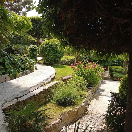 Casa Orrsa Casa Con Terrazzo Apartment Camogli