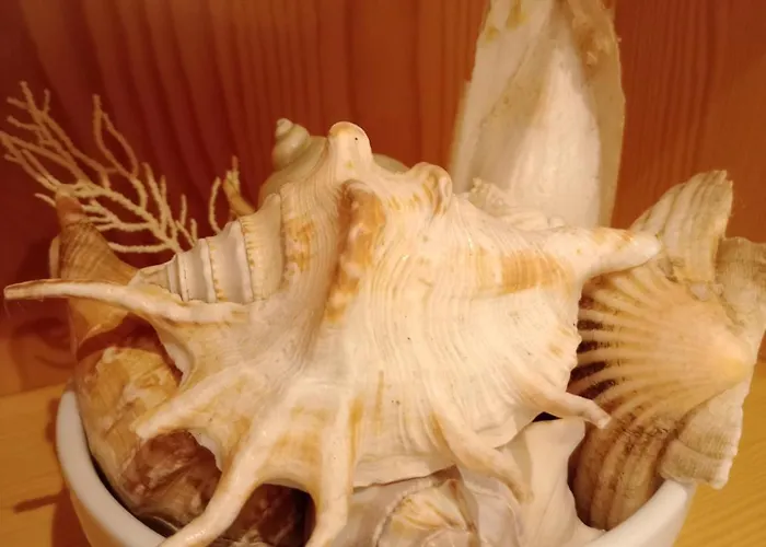 Casa Orrsa Casa Con Terrazzo Lägenhet Camogli